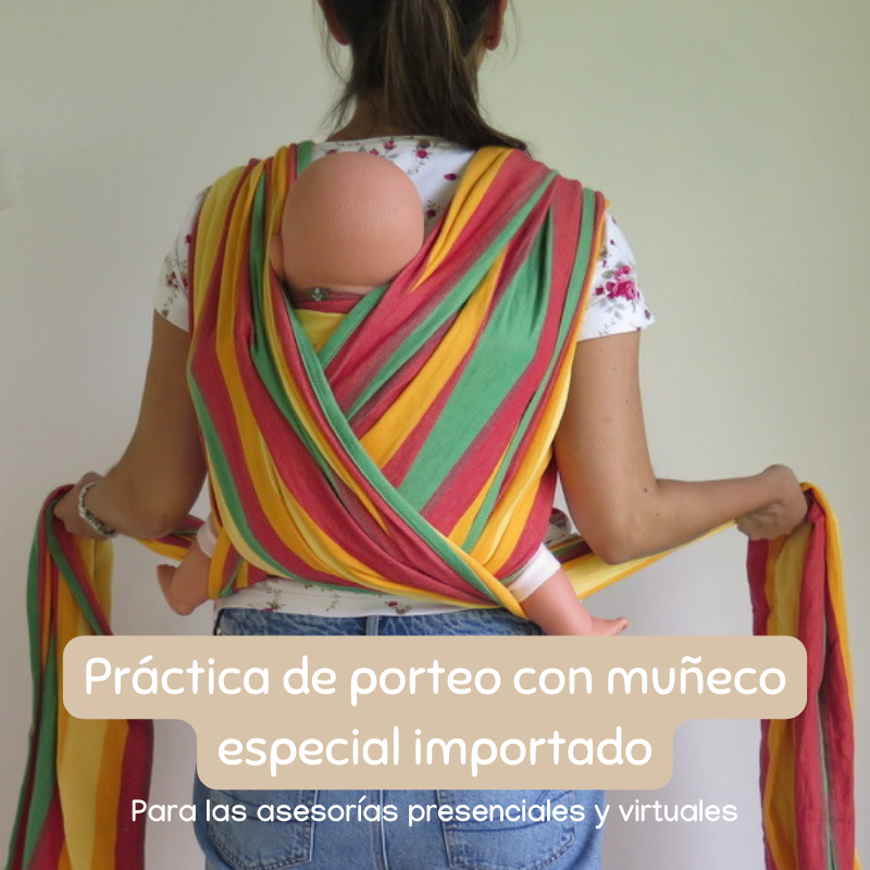 Asesoría de porteo - Virtual