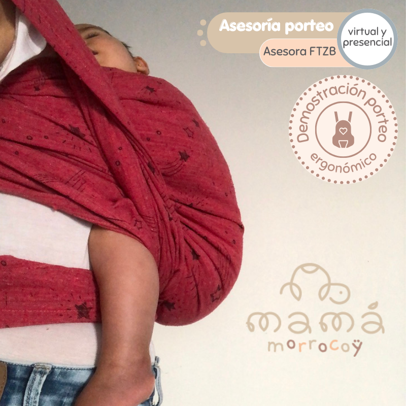 Asesoría de porteo - Virtual