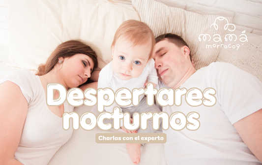 Despertares Nocturnos en Bebés de 0-12 Meses: Lo Que Dice la Ciencia