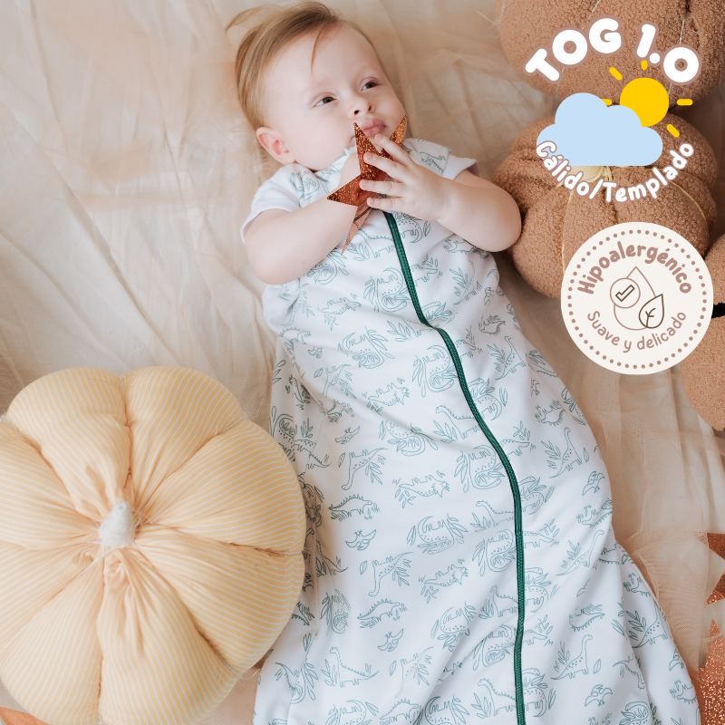 Bolsita - 🦕 Dinos 1.0